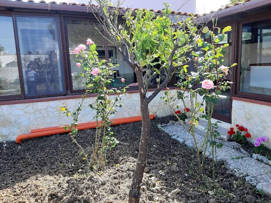 Cammini Di Sale Casa Vacanze Tra Le Saline Torre Nubia Ngoại thất bức ảnh